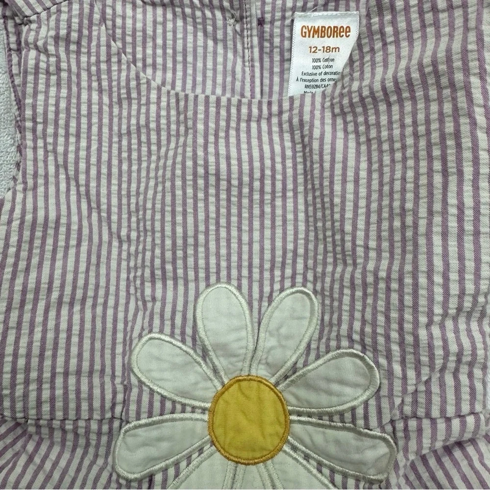 Gymboree Daisy Seersucker Dress